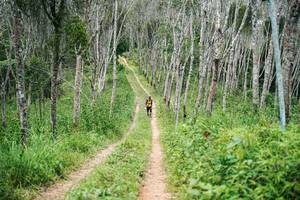 BIB: 
                            <button type="button" onclick="openModal(26294436)" class="btn btn-primary btn-sm float-right btn-popup" data-toggle="modal" data-target=".modal-high-quality">
                        <i class="fas fa-shopping-cart"></i> Add to Cart
                    </button>
                                            <button type="button" onclick="isThisMe(26294436, true)" class="btn btn-success btn-sm float-right btn-popup btn-isme hidden" data-toggle="tooltip" data-placement="bottom" title="นี่คือรูปของคุณใช่ไหม คลิกที่นี่เพื่อเอาเข้าอัลบั้ม">
                        <i class="fas fa-plus"></i> Add to album
                    </button>
                    <button type="button" onclick="isThisMe(26294436, false)" class="btn btn-warning btn-sm float-right btn-popup btn-isnotme hidden">
                        <i class="fas fa-ban"></i> Remove from album
                    </button>